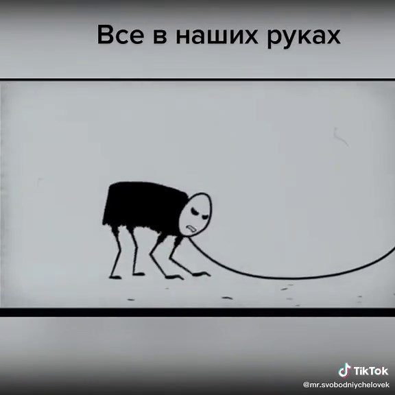 Мистер Фримен: Первый шаг к свободе