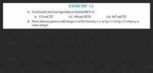 EXERCISE 1.1 Use Euclid's division algorithm to find the HCF of... | Filo