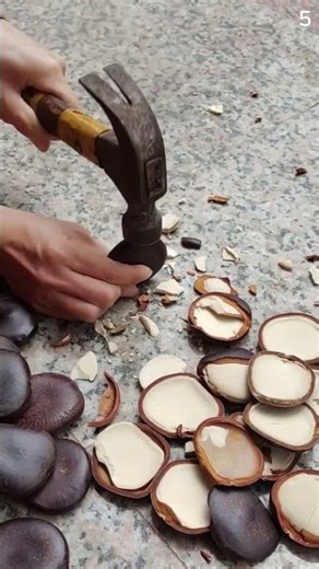 Alat sederhana super kuat digunakan untuk membelah batu dengan sangat mudah #shorts