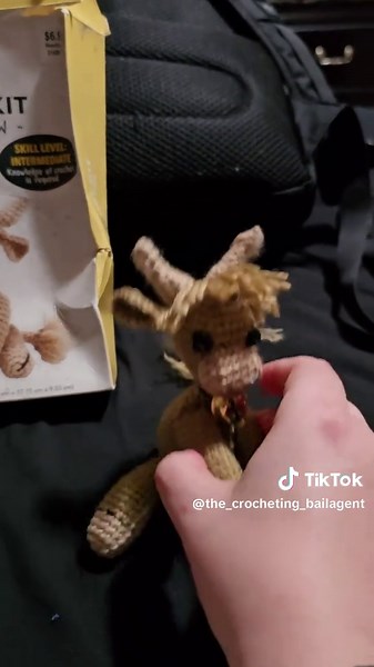 Hooktopi (hook-to-pie) Crochet on TikTok