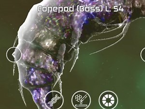 《细胞起源》使用Copepod（Boss）47分钟，200万高分。