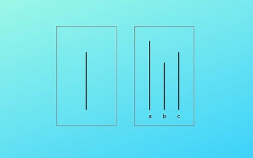 Experimento de Asch: qué fue, bases, procedimiento y resultados