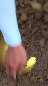 Discovering the Golden Handdrum #reels #shorts #fyp #viral #finder #finding #treasure | V Skill