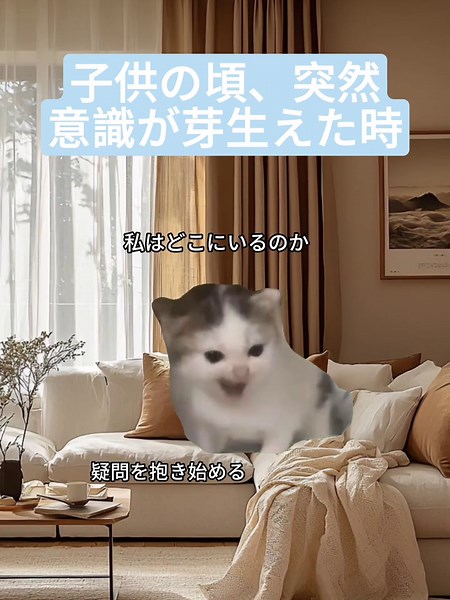 猫ミームの面白さと日常生活の一コマ