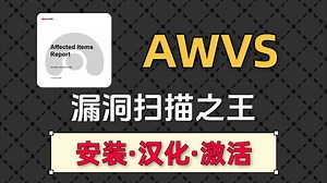 【漏洞扫描の王！】2025最新版AWVS安装及使用教程 AWVS安装 | AWVS下载
