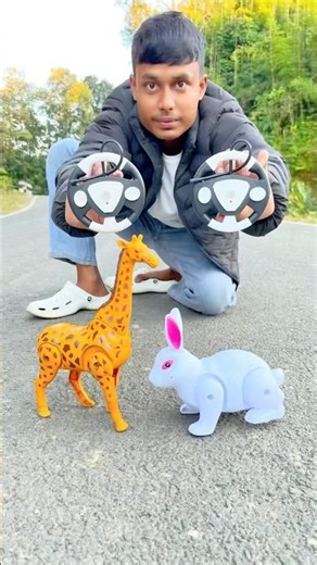 Remote Control 2 Ta Giraffe 🦒 And Rabbit 🐇 Unboxing And testing 😱
