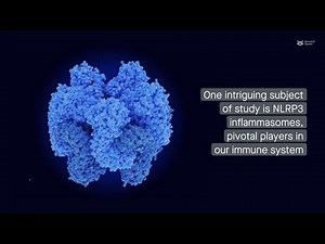 Unravelling the complex role of NLRP3 inflammasomes in cancer