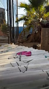 Animal Planet TV on Reels