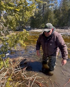 10K views · 278 reactions | Projection beaver sets | Dunlap LURES | Facebook