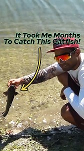39K views · 593 reactions | BUILDING a CATFISH TRAP! Beware of Invasive Walking Catfish | Zak Catch Em | Facebook