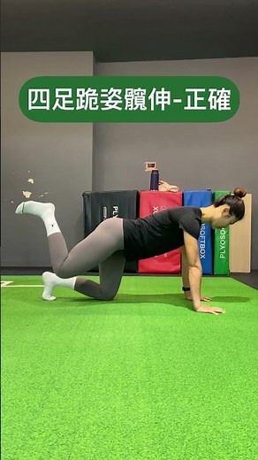 【動作示範】下肢訓練｜四足跪姿髖伸