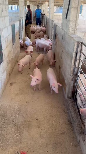 Nawa C Nawa on Reels