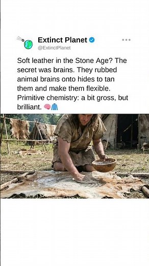 Soft hides in the Stone Age? The secret was rubbing brains on them. 🧠🧥 #prehistoriclife #ancient xyz