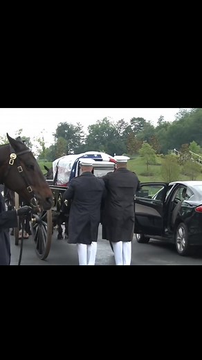 #usa #arlington #army #america #soldier #honor #military #guard #navy #fyp #fyp #fypシ #fypviral