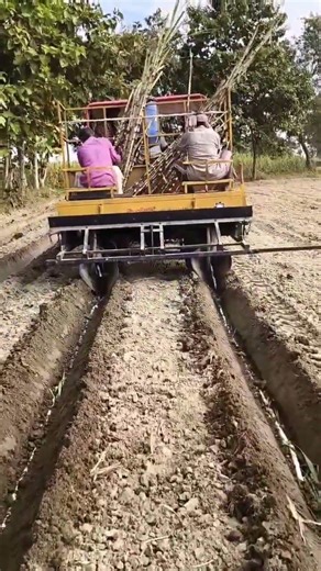 Two row planter Works🚜🚜🌱🌱