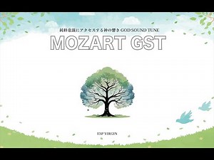 MOZART GST解説・紹介動画
