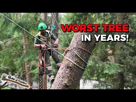 EXTREME HEMLOCK DISASTER!!! This 130’ widow maker had me TERRIFIED!