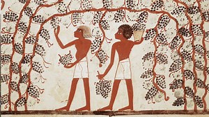 When humans began farming, things really started to change... | OER Project