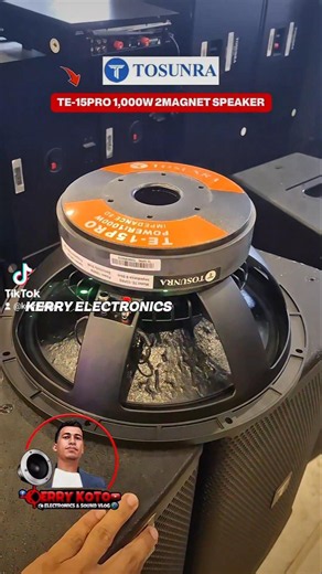 Tosunra TE-15PRO 1,000W 2 Layer Magnet / 4 Inches Voice Coil