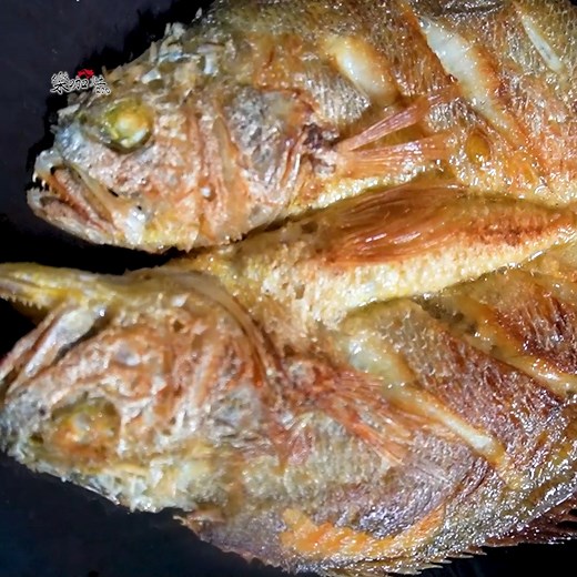 香煎黃魚短片 / Pan-fried yellow croaker / Cá đù vàng áp chảo #shorts ***📷謝謝你找到了我📷*** 樂咖ㄟ灶咖， 趕快訂閱我的頻道 👉：https://www.youtube.com/channel/UC4vDI0vNWbxe_Cy7ivK63rQ ***📷這裡也能找到我📷*** Facebook 👉：https://www.facebook.com/profile.php? id=100083754785796 odysee 👉:https://odysee.com/@樂咖ㄟ灶咖:e TikTok: 👉:https://www.tiktok.com/@long_feet6?lang=zh-Hant-TW #香煎黃魚 #黃魚 | 樂咖ㄟ灶咖