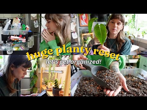 🌿 organizing my plant care supply cart, new plants, pot haul, + more!! may reset 🌿