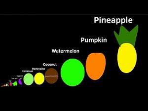 Fruit Size Comparison