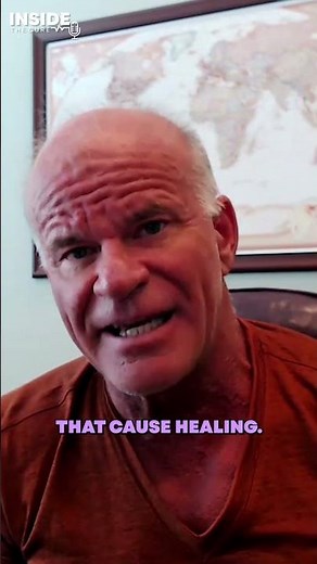 How Platelets Repair the Body