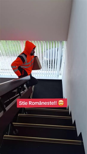 MINISO X33 Wireless Earbuds Translation Review