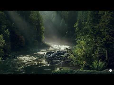 Far Cry 5 Jacob Seeds Loading Screen (1 Hour Loop) | Keep Your Rifle By Your Side (Reinterpretation)