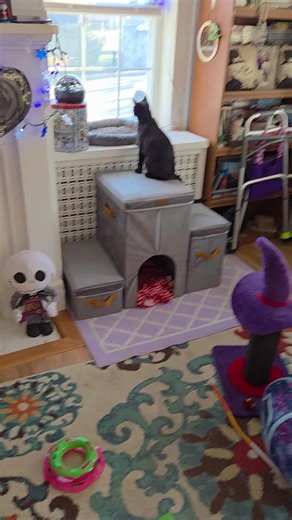 Kohl (@kole72779)’s videos with Grownups Come Back - Daniel Tiger's Neighborhood