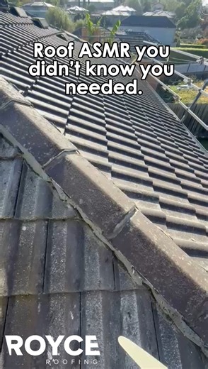 🎧 Repointing ASMR There’s something oddly satisfying about smoothing fresh mortar and bringing ridge caps back to life. Clean lines, secure seal, and pure roofing therapy. ✅ Watch the transformation ✅ Enjoy the sounds ✅ See why proper repointing matters 📩 Love this result? Contact us for a free roof inspection! ☎️Call us at 1300 992 911 🌏Visit us at https://royceroofing.com.au/ 📩Direct message us! #MelbourneTradie #melbournehouses #melbourneroofingexperts #RoofCare #Mulgrave #roofingexperts 