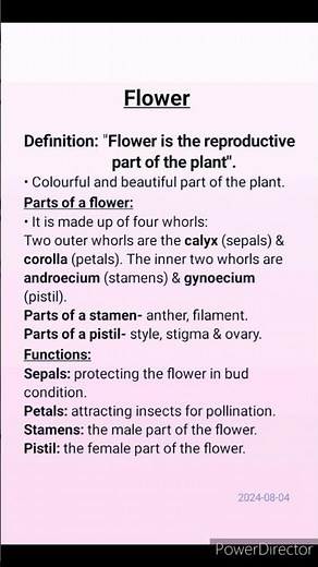 Class- 6. Science # Flower # definition# parts and function.