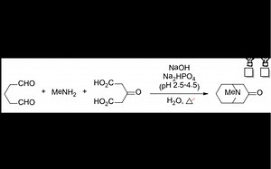 福山机理B001 多组分反应-Robinson合成托品酮