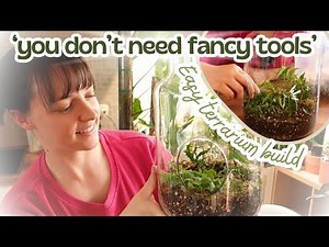 Easy Low Maintenance Open Terrarium Set up 🌿Step by Step Guide + Extra Tips!