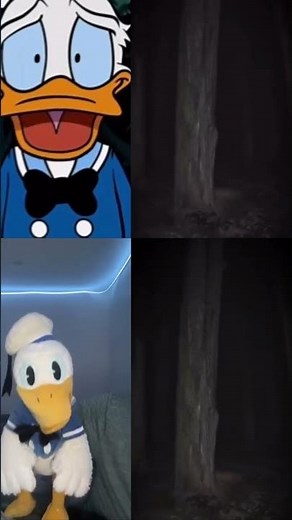 Donald Ducc OR Donald Ducc Animation?