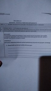 Explain the different types of poets and poems.... | Filo