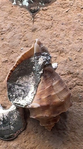 This natural shell casting technique is next level #aluminum #crafts #shorts