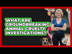 What Are Groundbreaking Animal Cruelty Investigations? - Animal Care Jobs