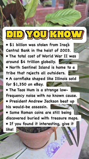 955K views · 5.6K reactions | 7 Insane Facts About History You Won’t Believe! #facts | Devlop's Puzzle Game | Facebook