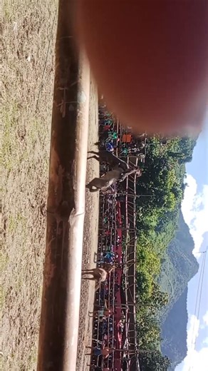 15K views · 227 reactions | Congrats jack 1 #viral #highlight #follower #horseracing | Paul T Aragon | Facebook