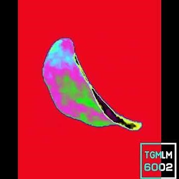 Spinning Chip | With 10 Random Effects