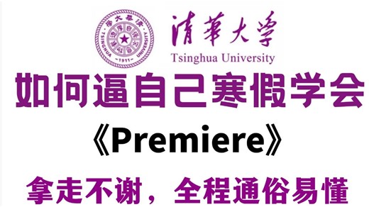 【全568集】目前B站最全最细的PR零基础全套教程（包含剪辑思维 软件操作），带你一周从入门到精通，学完即就业！寒假小白学PR看这套视频就够了！！！