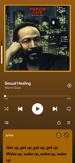 Marvin Gaye Sexual Healing Lyrics - Full Song Lyrics