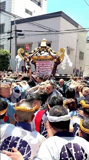 2026 Sanja Matsuri Komagata: The Heated Ninomiya Main Shrine Mikoshi