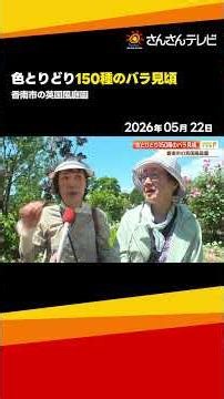 亡き父と30年育てた庭園《イングリッシュガーデン》150種・200本のバラ見頃【香南市】