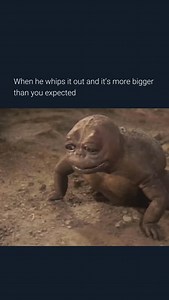 2.4M views · 14K reactions | Tag them  Minilla, also known as...