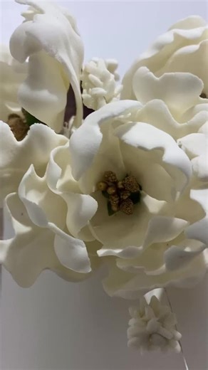 The Male Baker on TikTok