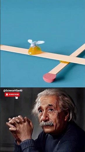 SIGMA PHYSICS TEACHER 🗿💥