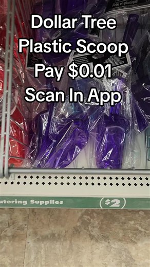 Scoops at Dollar tree #scoops #dollartree #couponing #couponcommunity #laquaishabates