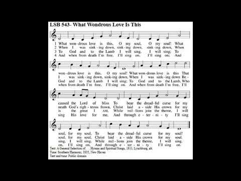 LSB 543- What Wondrous Love Is This